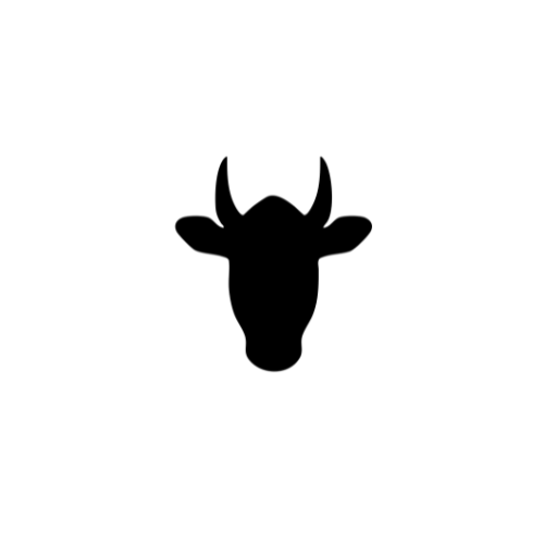 Liver